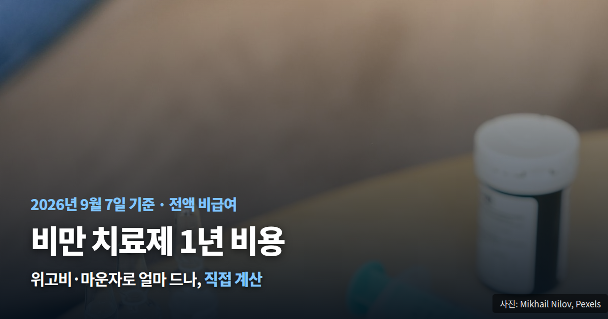비만약 1년 비용 위고비 마운자로 총액 직접 계산