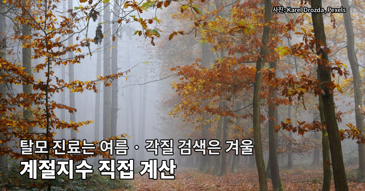 가을 탈모 진료 정점은 늦여름 두피 각질은 1월 계절 데이터 직접 계산