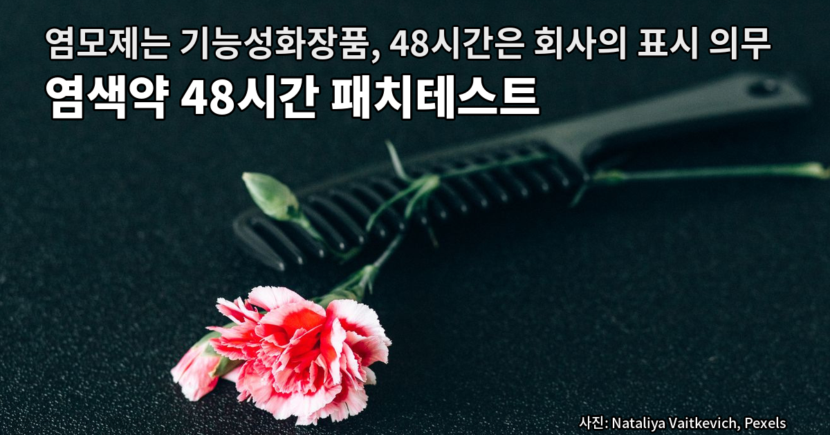 검은 질감의 천 위에 검은색 빗 한 개가 놓여 있고, 그 위를 가로질러 분홍색 카네이션 줄기가 지나가며 활짝 핀 꽃송이와 봉오리가 함께 보이는 사진