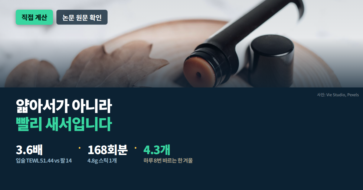 입술 각질 원인 하루 도포 횟수별 립밤 개수 직접 계산