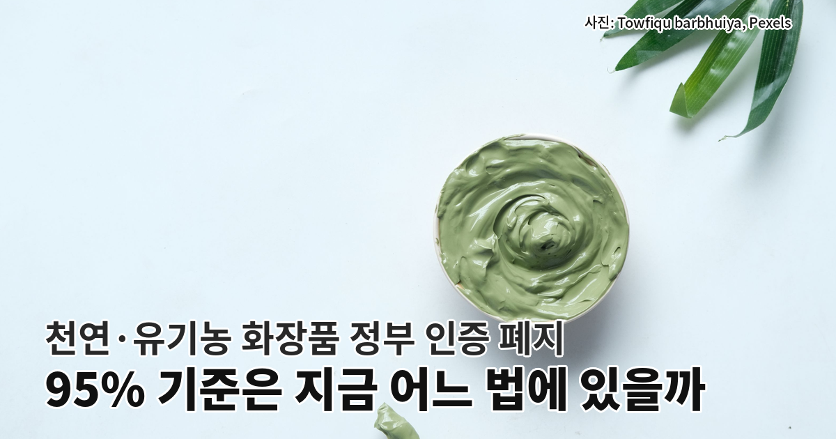 긴 초록 잎과 초록 클레이 그릇이 놓인 화장품 플랫레이