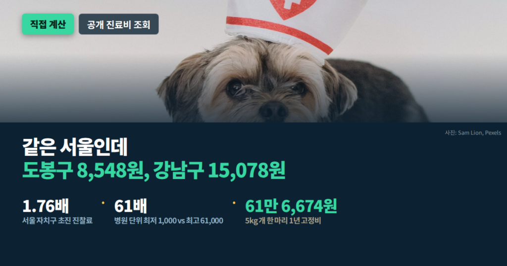 동물병원 진료비 지역별 비교 대표 이미지