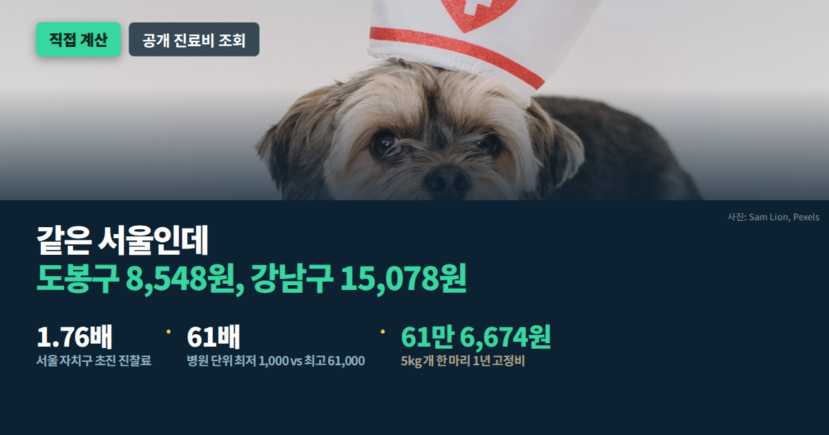 동물병원 진료비 지역별 비교 대표 이미지